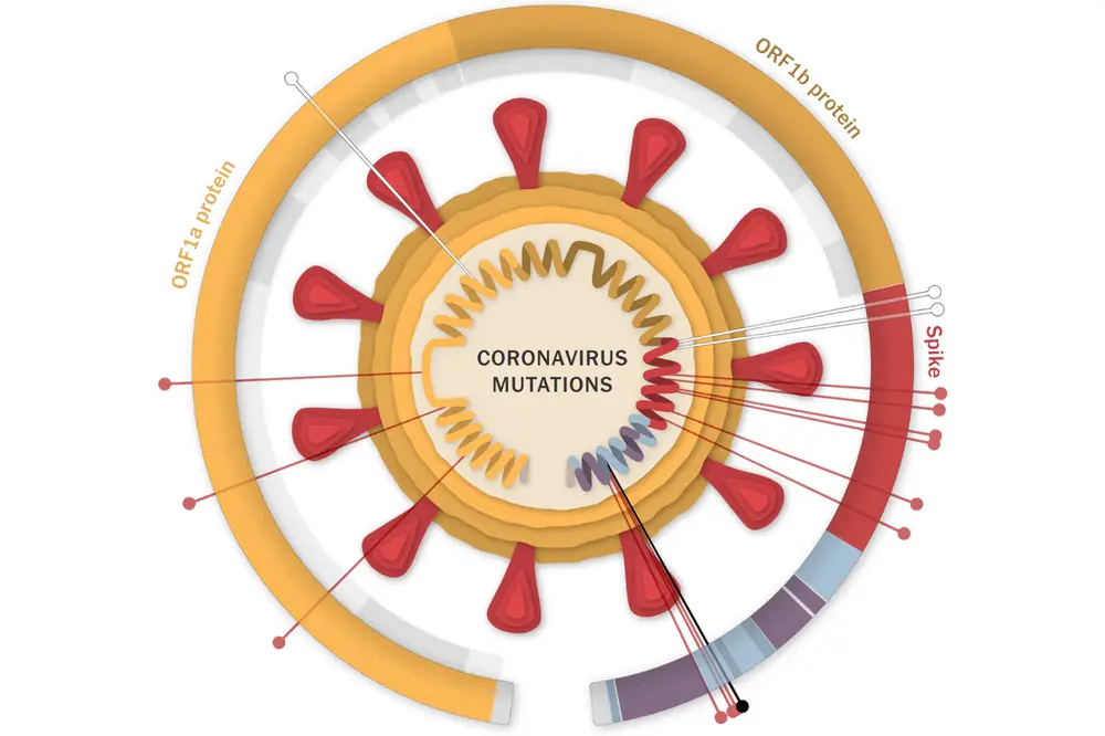 Science of TranshumanGene