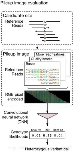 AI in genomics