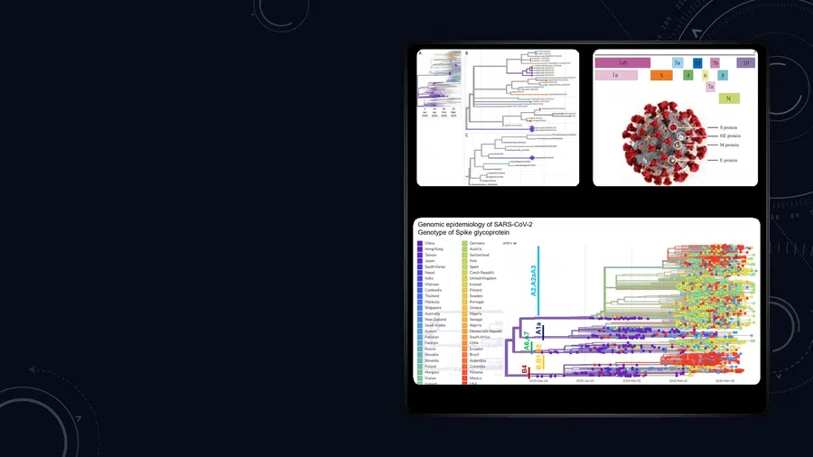 study of sars cov 2